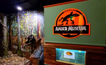Beyond the Jurassic Tour: The Amber Museum in Puerto Plata Puerto Plata Amber Museum