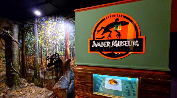 Beyond the Jurassic Tour: The Amber Museum in Puerto Plata Puerto Plata Amber Museum