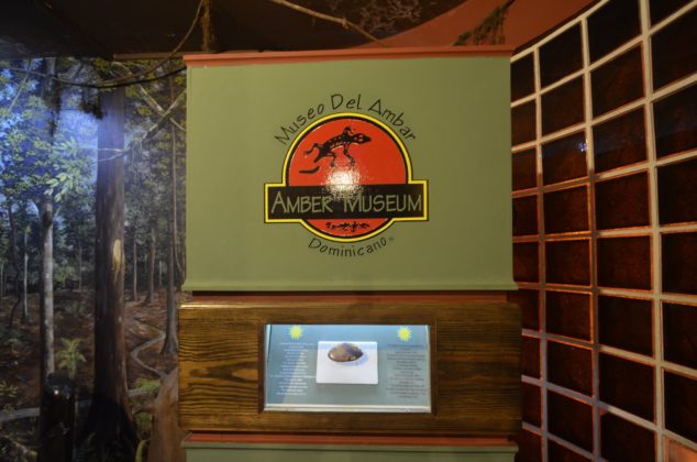 The amber museum logo