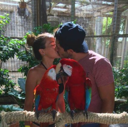 couple kiss between parrots