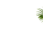 palm-right-bg