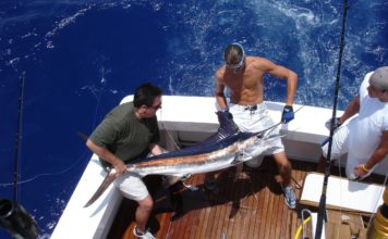 Puerto Plata Fishing Puerto Plata fishing, Dominican Republic