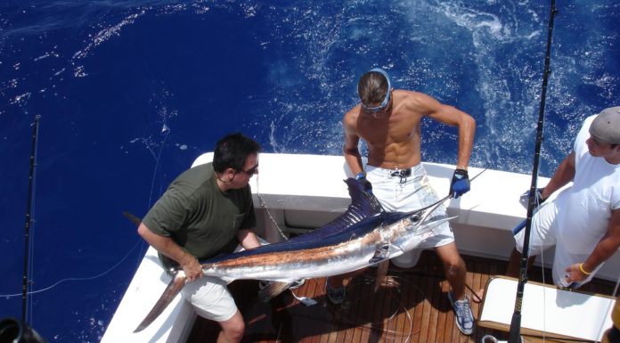 Puerto Plata Fishing Puerto Plata fishing, Dominican Republic