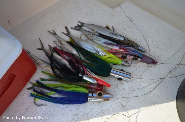 Hooks and lures used in the charter