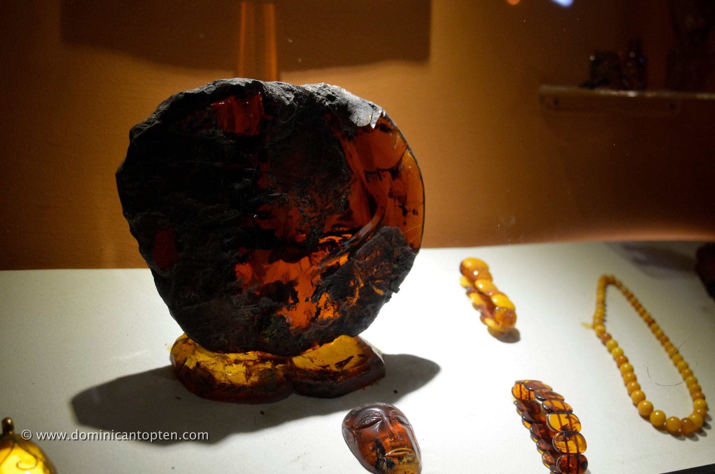 inclusion in amber exhibited at the amber gallery