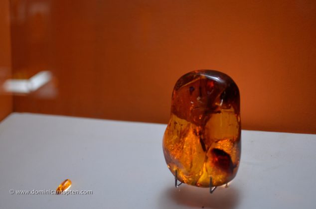 Amber gem at the Gallery