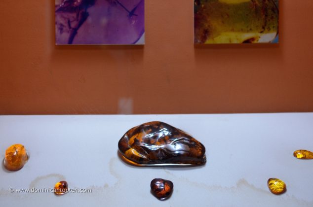 Polished amber gem on display