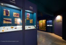 The Amber Gallery in Puerto Plata inclusion in amber exhibited at the amber gallery