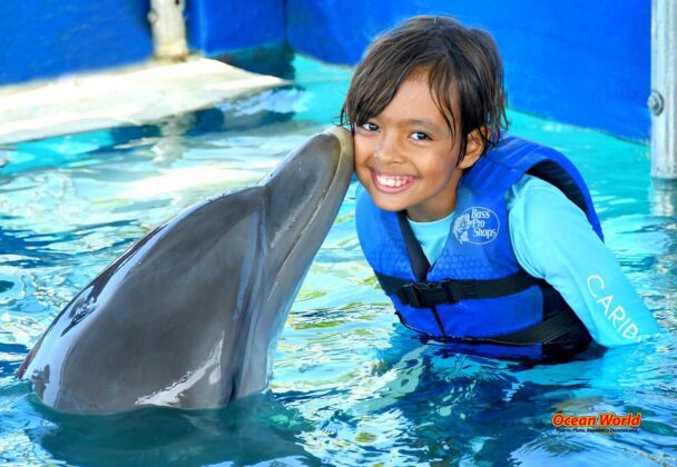 Child with dolphin smiles
