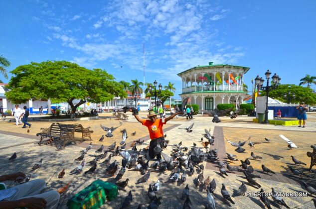 A local man posing with the pigeons