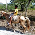 horsebackriding09
