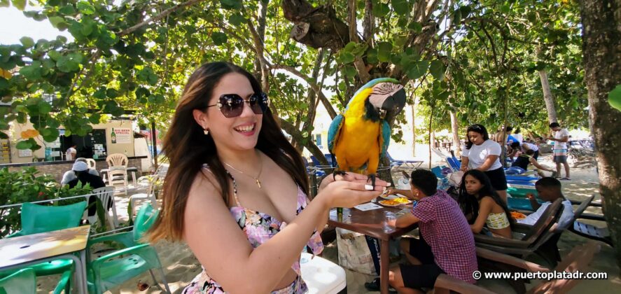 Visitor with exotic bird
