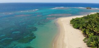 Puerto Plata Development Beach Land Sale aerial view of the beach land for sale