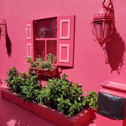 Pink window