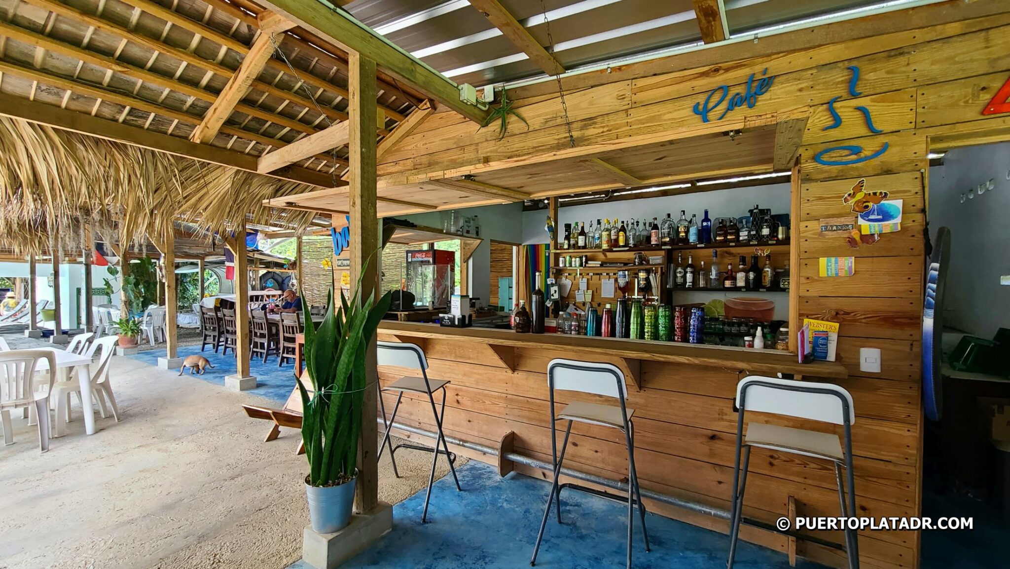 Geko Piscina Park Restaurant Yasica River Cabarete
