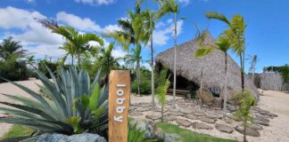 Greenland Bubble Glamping Greenland Bubble Glamping