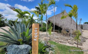 Greenland Bubble Glamping Greenland Bubble Glamping