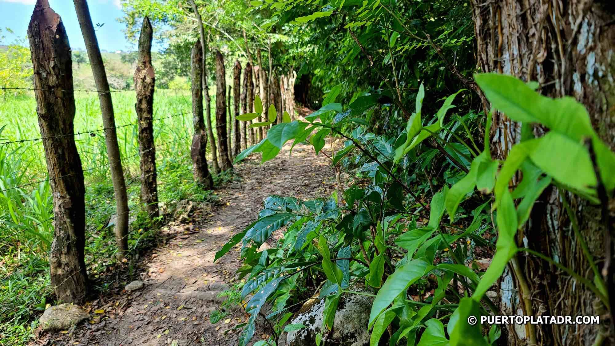 entrance to the Rejoya Trail in Juan de Nina