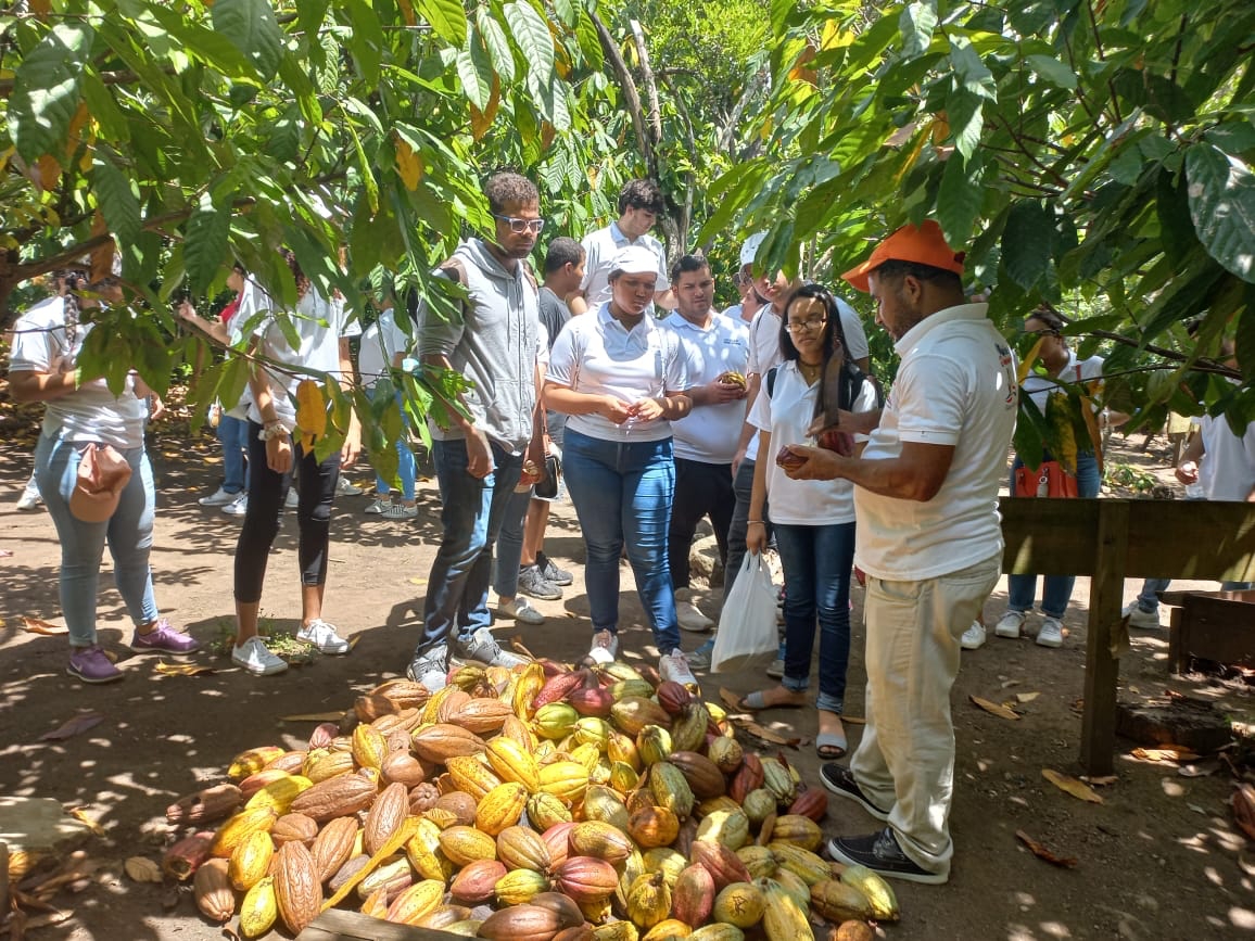 Students taking the cacao tour