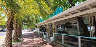 Carihuela Royal palms flank La Carihuela in Puerto Plata