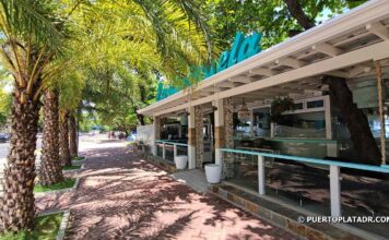 Carihuela Royal palms flank La Carihuela in Puerto Plata