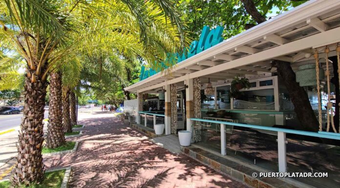 Carihuela Royal palms flank La Carihuela in Puerto Plata