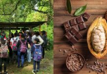 Cacao Tour – Hacienda Cufa Puerto Plata Cacao Tour at Hacienda Cufa in Guananico.