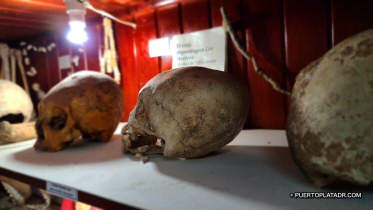 Taino skulls on display