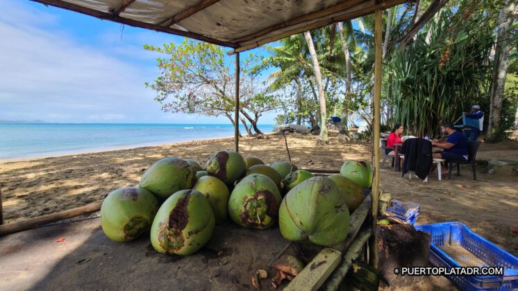 Coconuts available at the vendor
