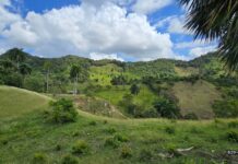 Land For Sale Puerto Plata farm land