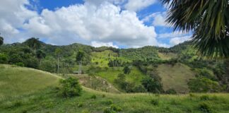 Land For Sale Puerto Plata farm land