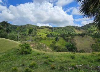 Land For Sale Puerto Plata farm land