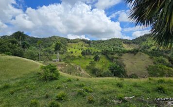 Land For Sale Puerto Plata farm land