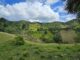 Land For Sale Puerto Plata farm land