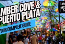 Amber Cove Port Guide 2025