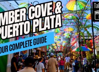 Amber Cove Port Guide 2025