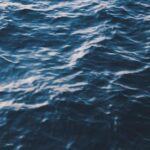 watervideo-1_2208.jpeg